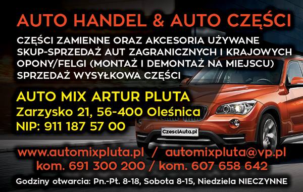 Zdjęcie firmy: AUTO MIX Artur Pluta / MixTransport.pl