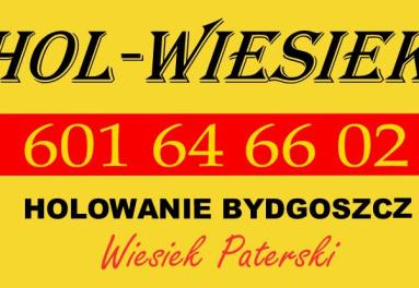 Hol Wiesiek - Pomoc Drogowa