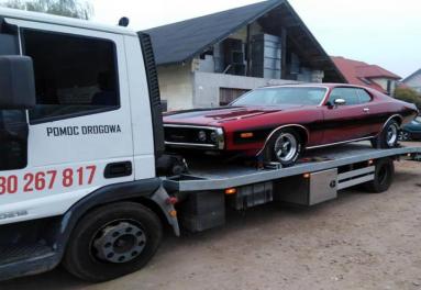 M.D. DĄBROWSCY DAWID DĄBROWSKI